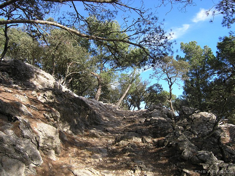 2006_11_23 12_03_46 OLYMPUS DIGITAL CAMERA         